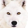 Benutzeravatar