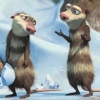 Benutzeravatar